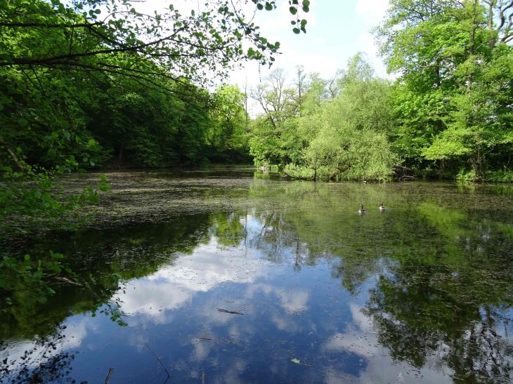 Parc De Séroule (Verviers)