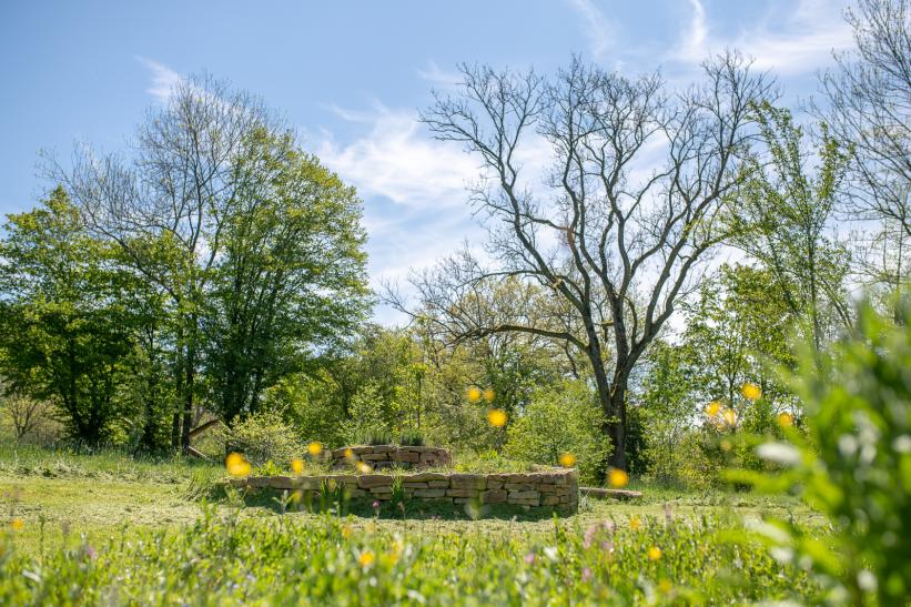 Rendeux, arbres et fleurs