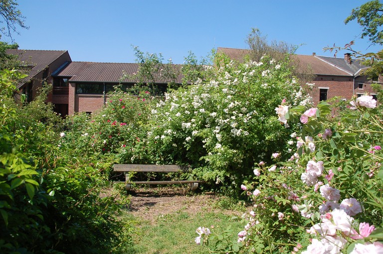 Roseraie communale de Chaumont-Gistoux 