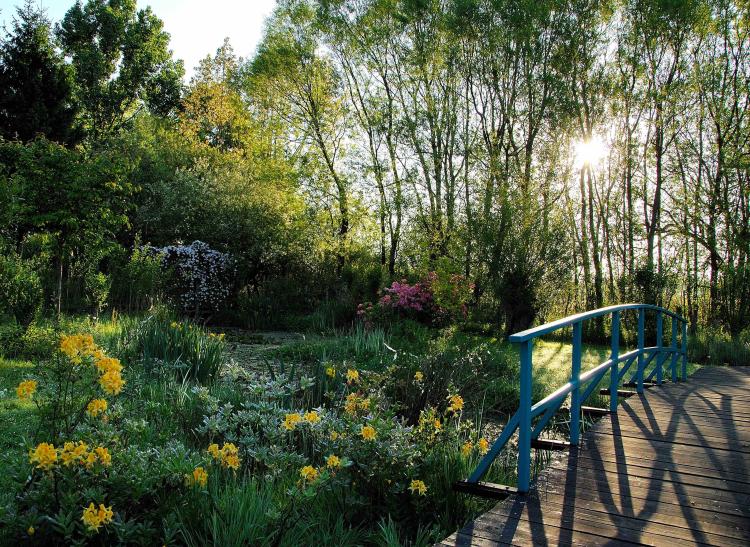 Jardin Monet - Bambois