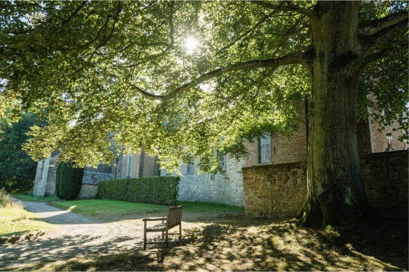 /images/jardin/jardin_147/pics_annevoie2.jpg