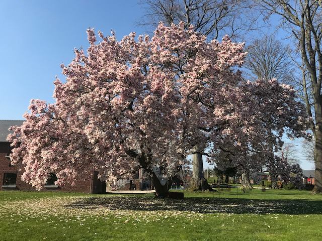photo_1602491000