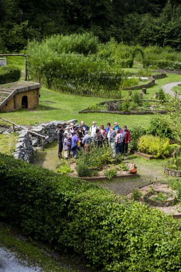 Jardin de Millepertuis (aquascope de Virelles)