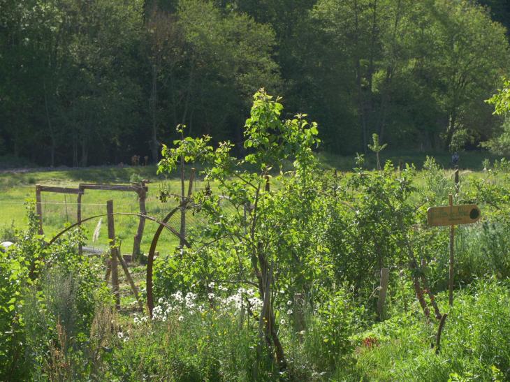 Les Jardins du moulin