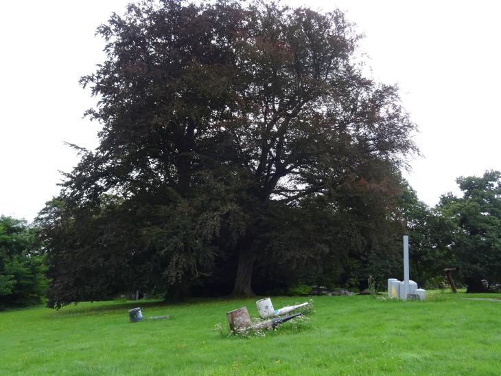 Parc de la Châtaigneraie