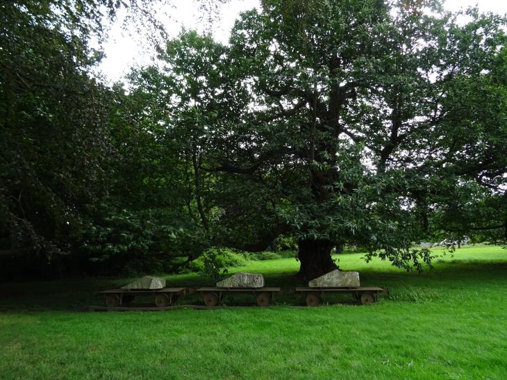 Parc de la Châtaigneraie