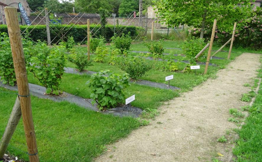 Parc du château d'Havré