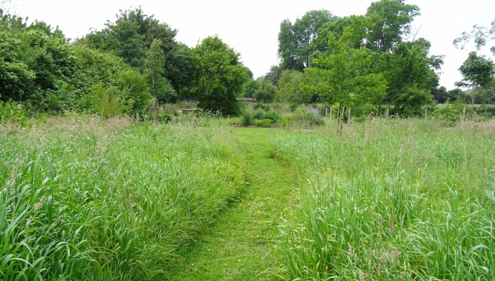 Jardin didactique du parc naturel de Burdinale-Mehaigne