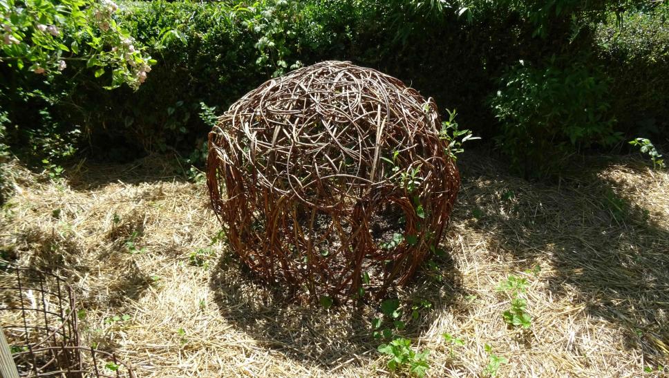 Willow Land Art - Le saule paysager (jardin en face) et Pulsions végétales (jardin attenant à la maison)