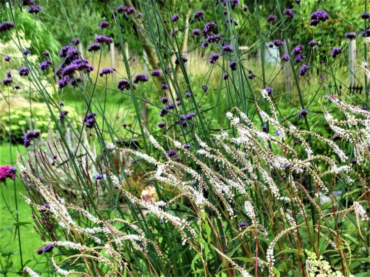Jardin des barges