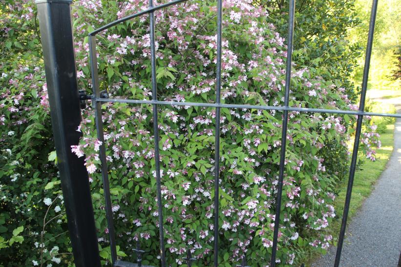 photo_1732016352