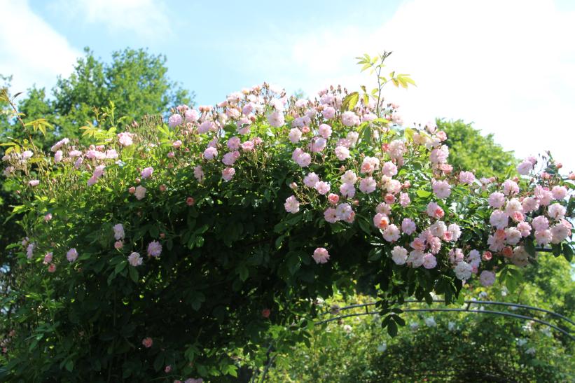 photo_1732016321