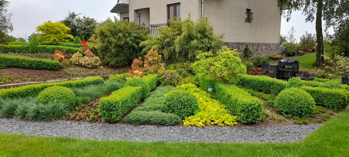 photo_1739797381