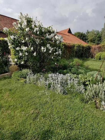 photo_1748426787