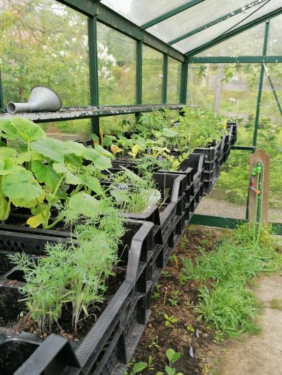 photo_1751821124