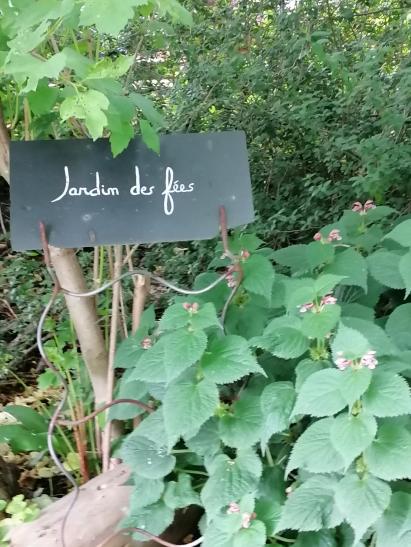 photo_1748426945