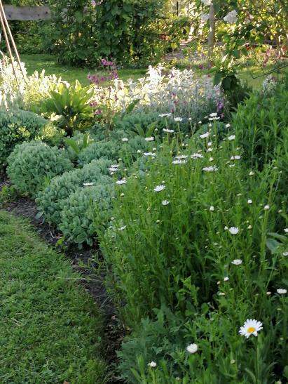 photo_1748426959