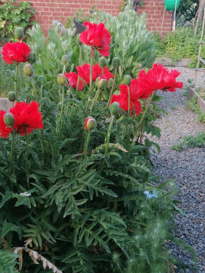 photo_1748427062