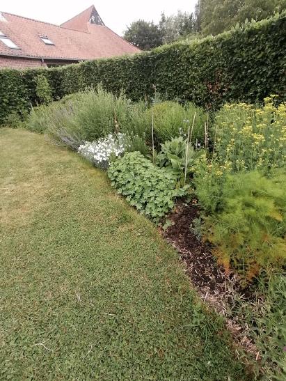 photo_1748427123