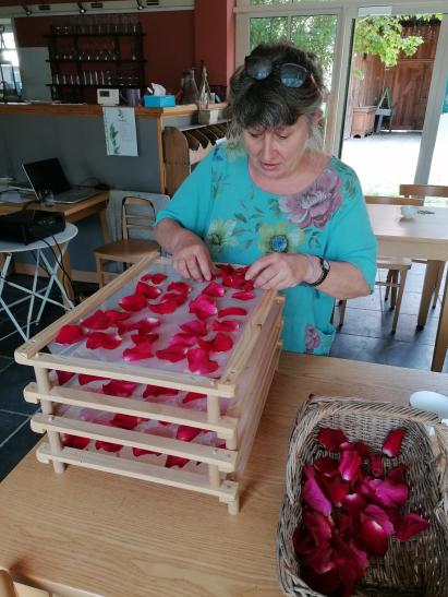 photo_1748427480