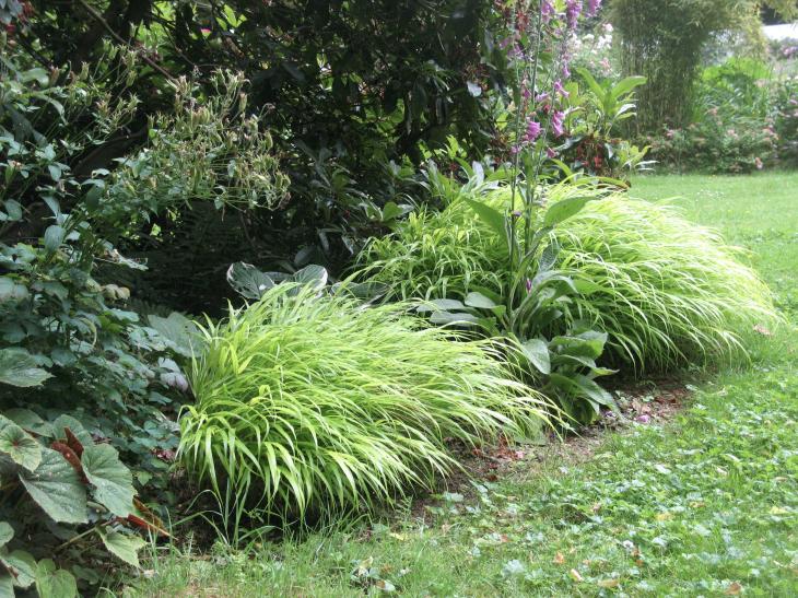 photo_1777194551