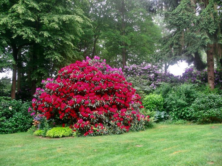 photo_1777190926